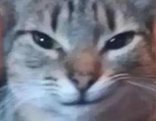 One of my soul's many forms